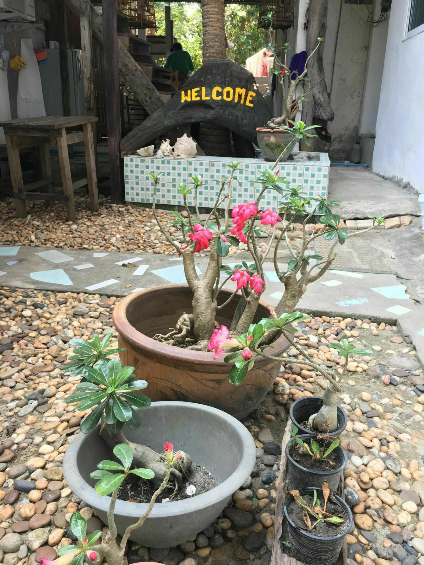 Miss Hong House Hotel Koh Samet Exterior foto